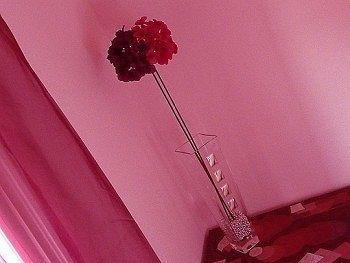 Bed & Breakfast 3B Bordighera Exterior foto